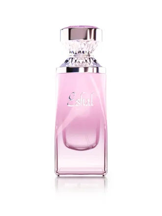 Paris Corner Eshal Musk
